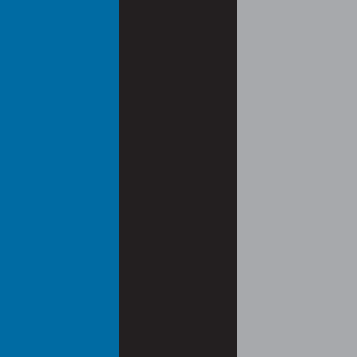 NEC Corporation brand color palette showcasing various shades used in their branding